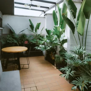 ¿Necesitas una empresa de construcción y revestimiento de pisos para patios? En Facility Venezuela te ayudamos a crear espacios exteriores resistentes, antideslizantes y con acabados que realzan la estética de tu hogar o negocio. Utilizamos materiales duraderos frente al clima y adaptamos cada diseño a tus gustos y necesidades. ¡Haz de tu patio un lugar cómodo, seguro y con estilo, con el respaldo de verdaderos expertos en exteriores!